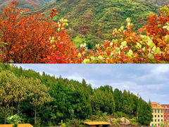 -博山九龙峪风景区