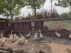 -西柏坡红色胜典景区