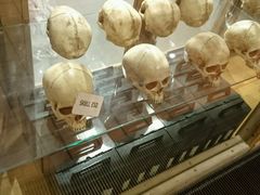 -莎士比亚环球剧场