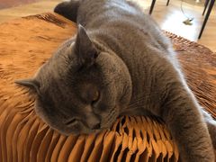 -Me Coffee下午茶艺术空间