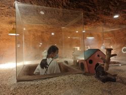 -酷嗒动物文化乐园(cutezoo西溪乐天城店)