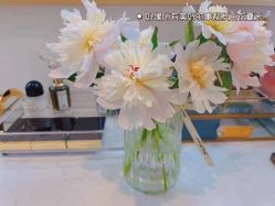 -倩极·精研痘敏肌管理