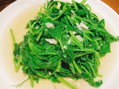 清炒豌豆苗-不相离盐帮菜(郎园店)