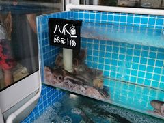 -北戴河庆山饭店·海鲜砂锅粥(北戴河黑石路店)