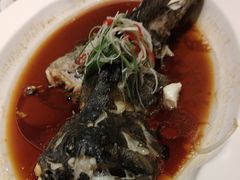 -高老庄新家宴(北斗星广场店)