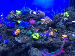 -成都浩海立方海洋公园