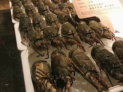 澳洲小青龙-雍和会海鲜姿造自助(湖东路店)