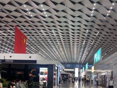 -郑州新郑国际机场-T2航站楼