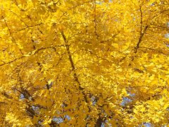 -苏州河梦清园环保主题公园