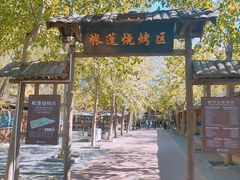 -杨柳青庄园