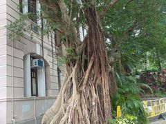 -香港大学