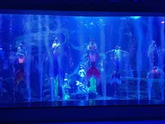 -多彩贵州城极地海洋世界