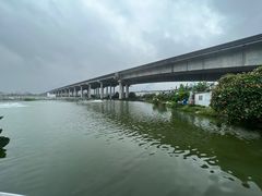-辉记虾塘海鲜农庄