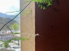 -云座·时光·观景咖啡厅(五爷庙店)