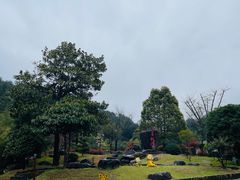 -百杖潭景区