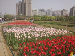 -咸阳湖景区-统一广场