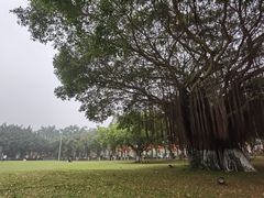 -万绿园