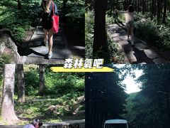 -洛阳白云山景区