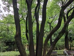 -徐家汇源景区-衡山公园