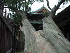 -晋祠公园