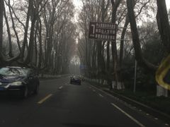 -南京国际会议大酒店