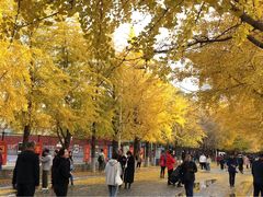 -辽宁大学(崇山校区)