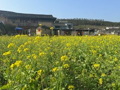 -福建土楼（南靖）云水谣景区-和贵楼