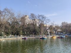 -莲湖公园
