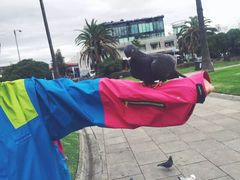 -墨尔本滨海港区