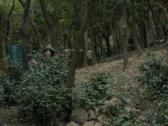 -南京市江宁方山
