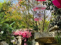 -海口观澜湖火山温泉谷