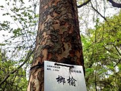 -上海鲜花港