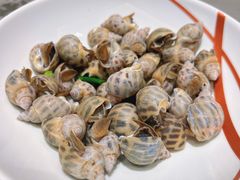 -神洲四海大酒楼(王府井澳门中心店)