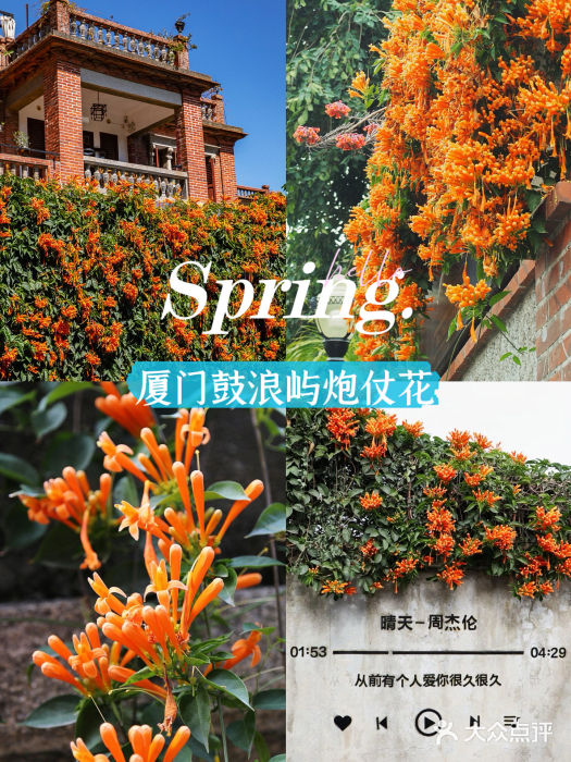 鼓浪屿图片