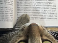 -芸山季·云南山珍菌火锅(南翔印象城MEGA店)