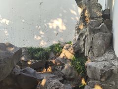 -胡雪岩故居
