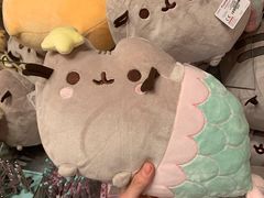 -奥兰多环球影城