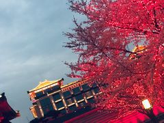 -唐城墙遗址公园