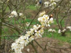 -风云岭森林公园