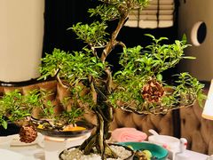 硕果鹅肝-西郊5号·Maggie 5