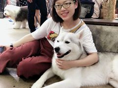 -TrueLove @ Neverland (Husky Cafe)