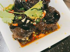 -避风塘(江桥万达店)