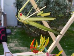 -养云安缦吧THE BAR