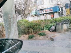 -邢大夫动物医院