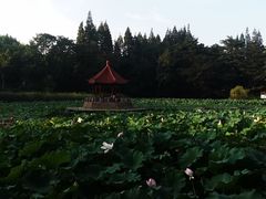 -青岛海滨风景区