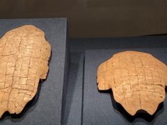 -盘龙城国家考古遗址公园