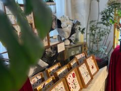-知物癖(牛王庙店)