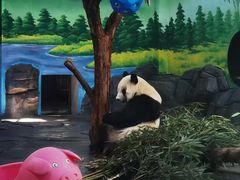 -秦皇岛野生动物园