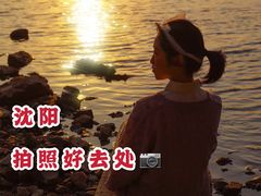 -长白岛森林公园