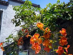 -西溪南古村落